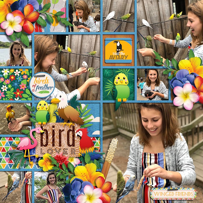 Bird Lover