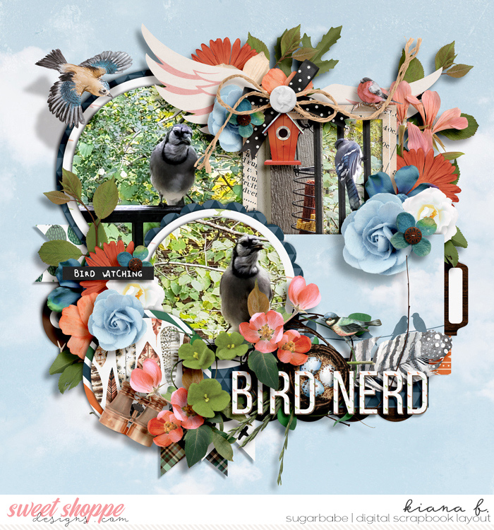 Bird Nerd