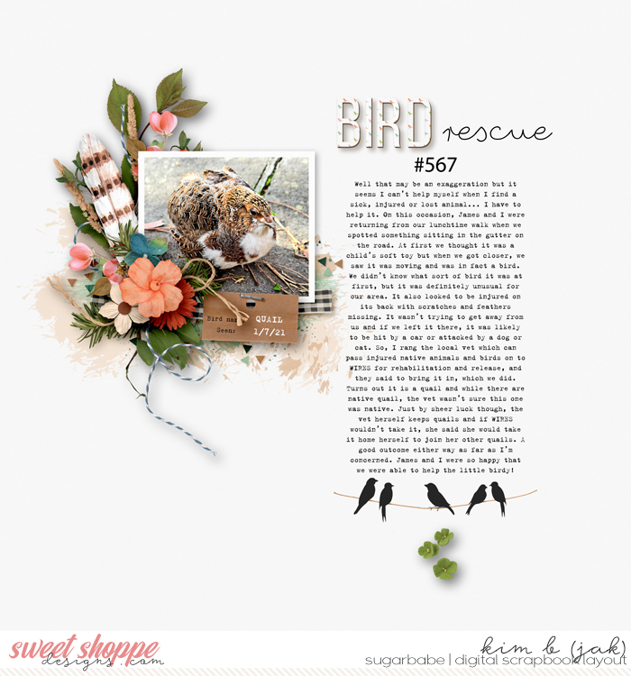 Bird Rescue