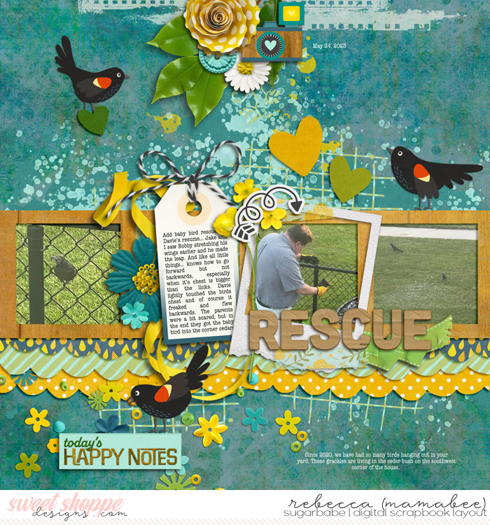 Bird Rescue