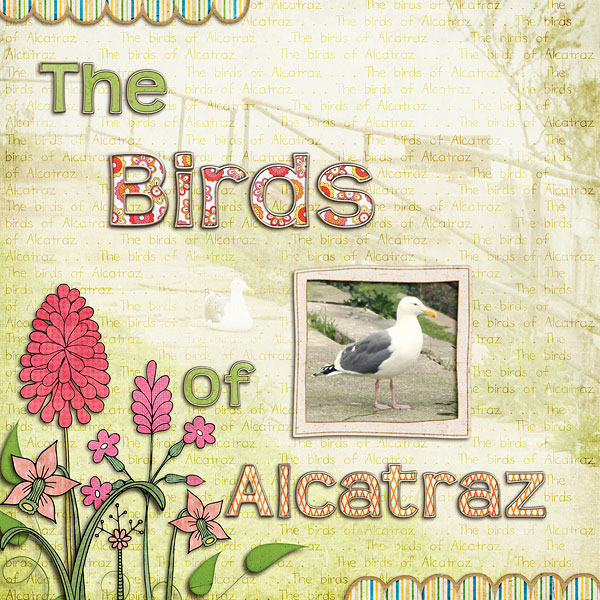 Birds of Alcatraz