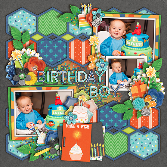 Birthday boy; make a wish