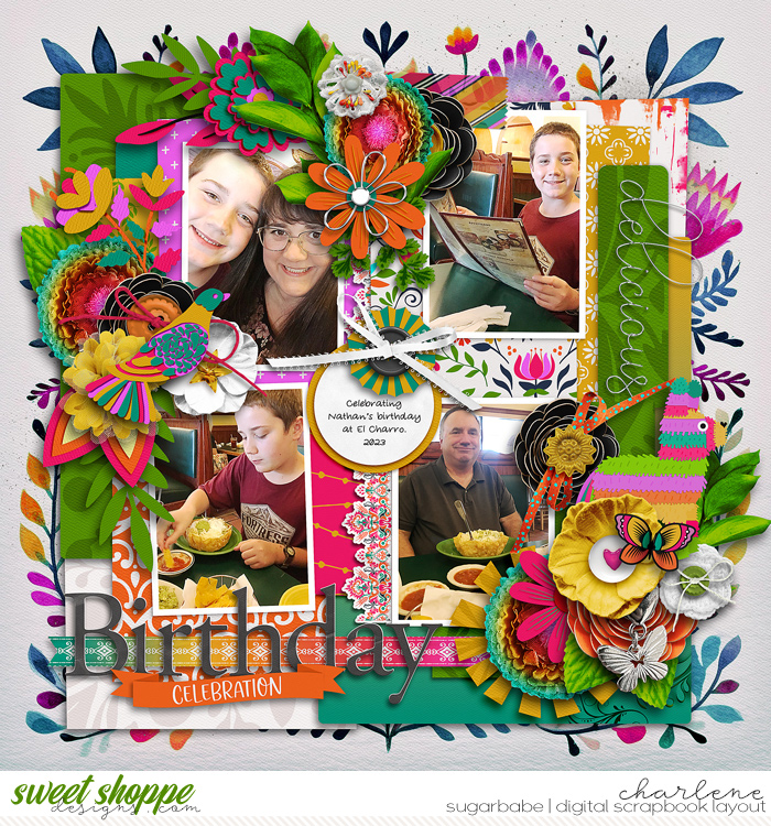 Birthday Celebration