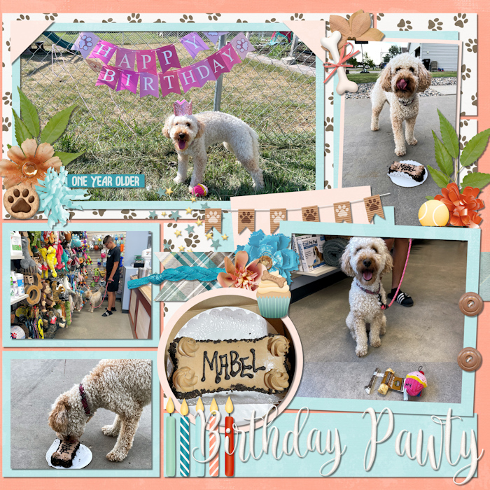 Birthday Pawty