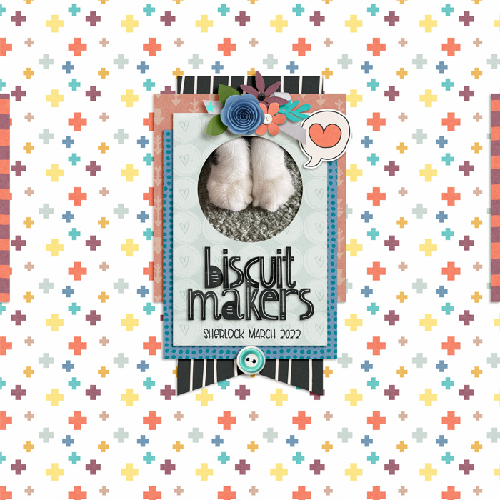 biscuit makers