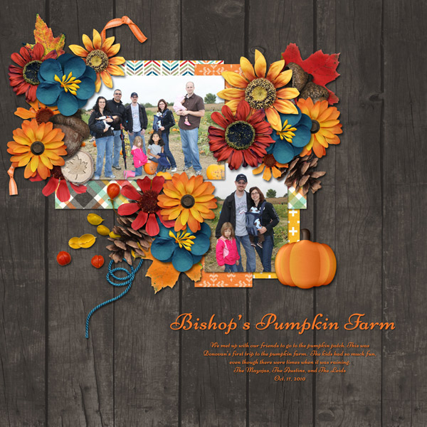 Bishop's pumpkin farm