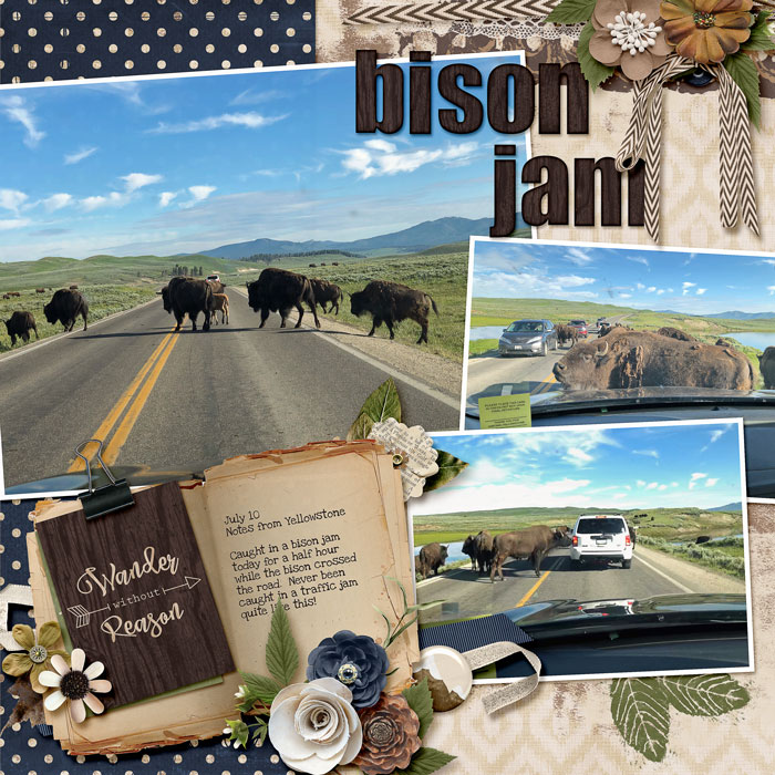 Bison Jam