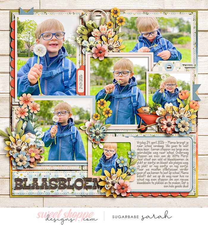 Blaasbloem