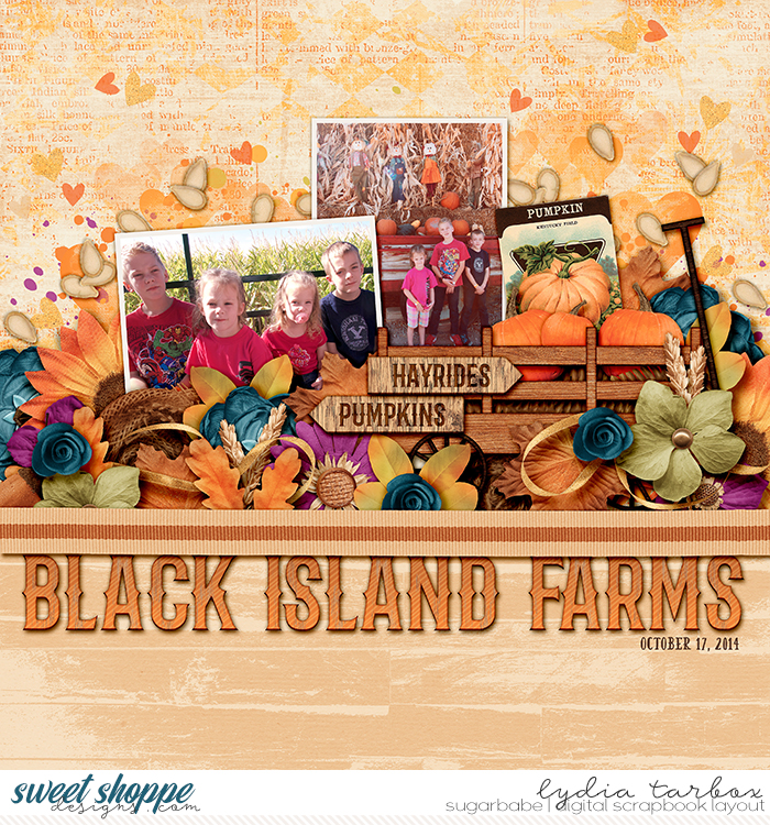 Black Island Farms Hay Ride