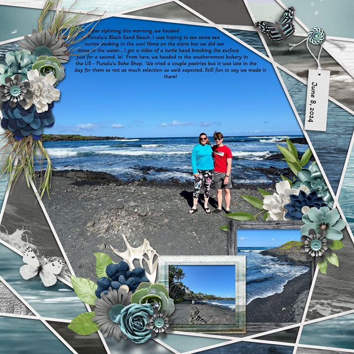 Black sand beach