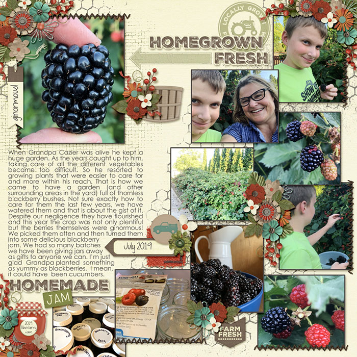 Blackberries 2019