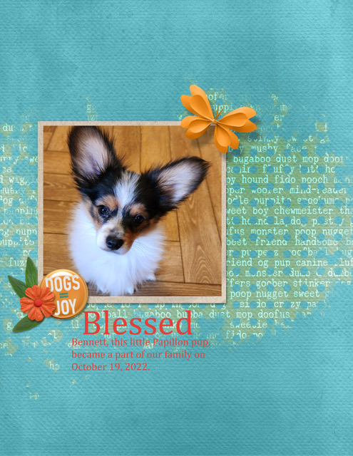 Blessed - 12B