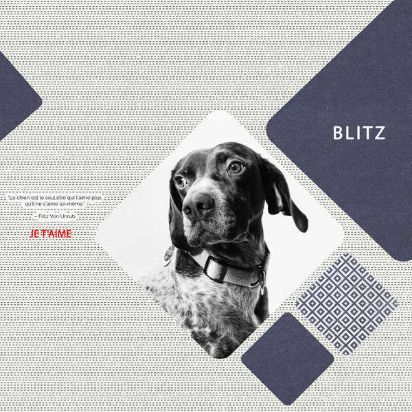 Blitz