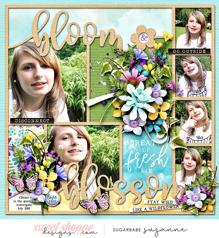 Bloom and Blossom