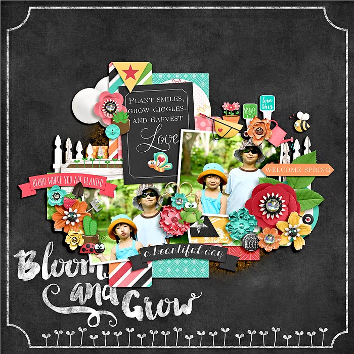 bloom and grow