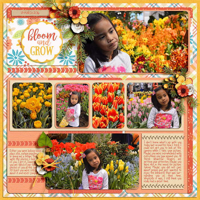 Bloom and Grow