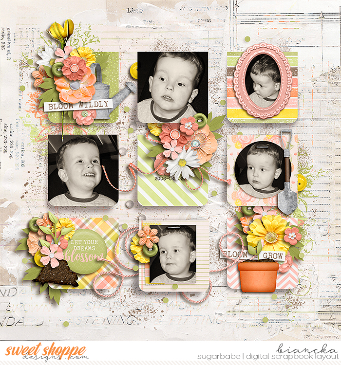 bloom and grow