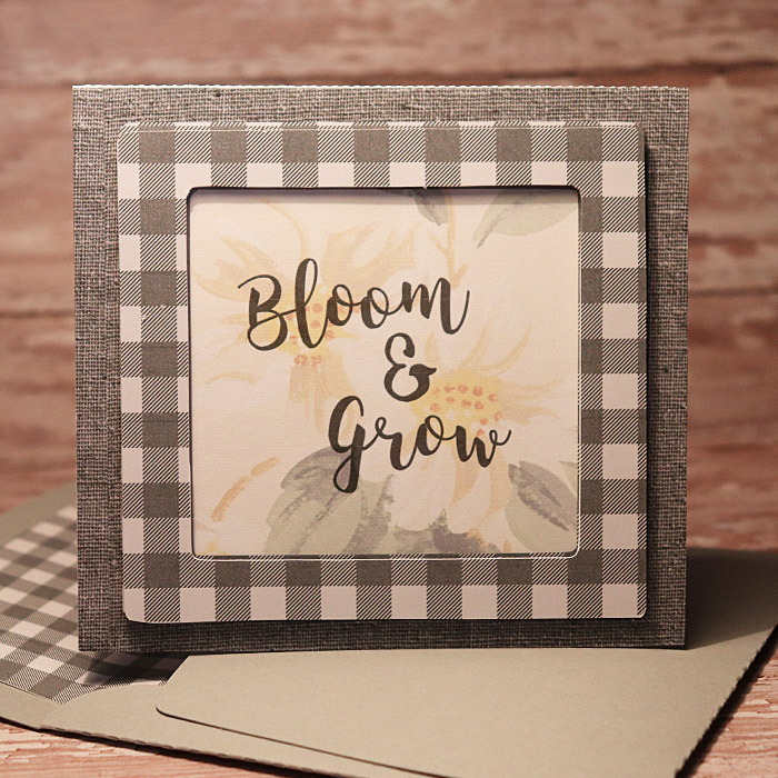 Bloom and Grow