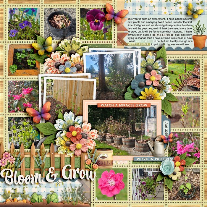 Bloom & Grow 2025