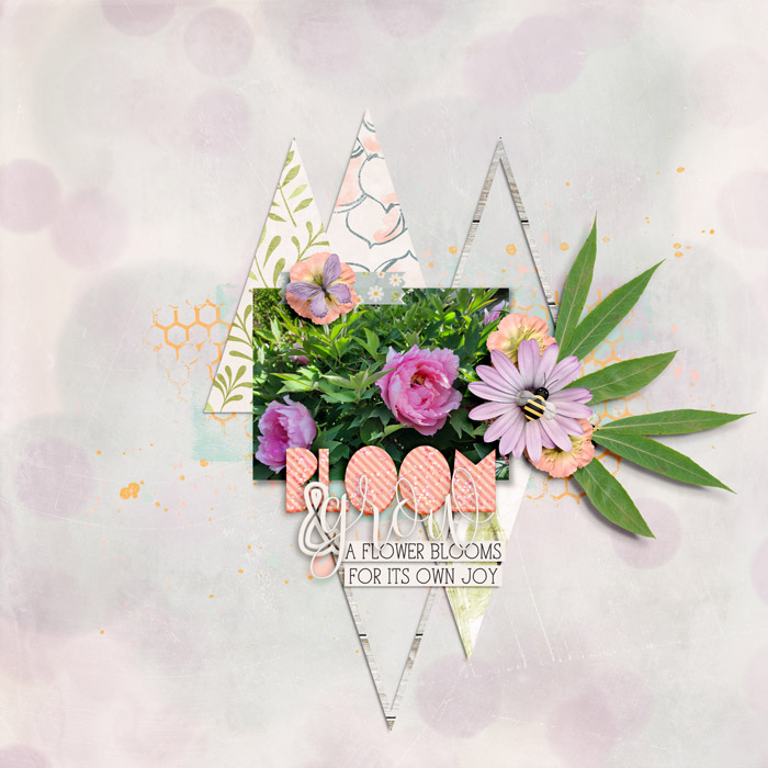 Bloom & Grow