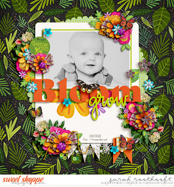 Bloom & Grow