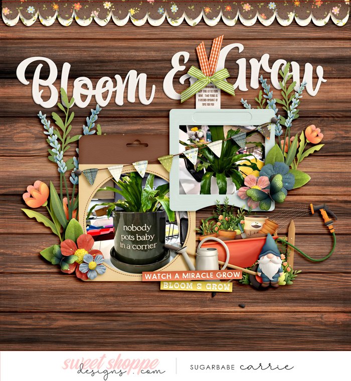 Bloom & Grow