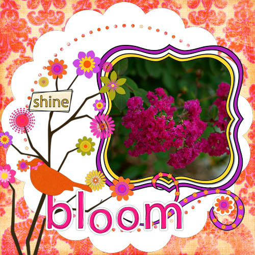 Bloom (Shutterbug Shakedown #6)