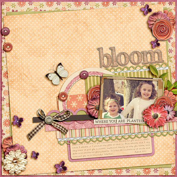 Bloom Where You Are Planted