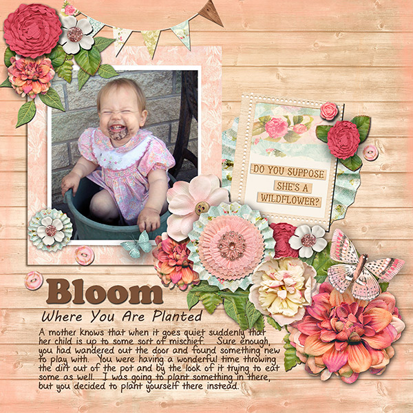 Bloom Where You Are Planted