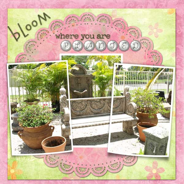 Bloom where you are planted