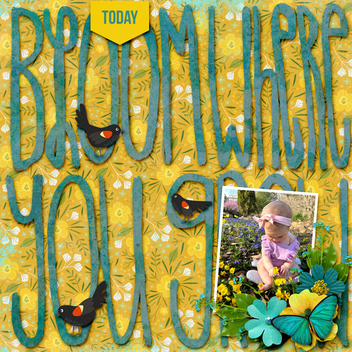 Bloom Where You Grow
