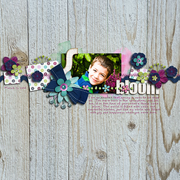 Bloom