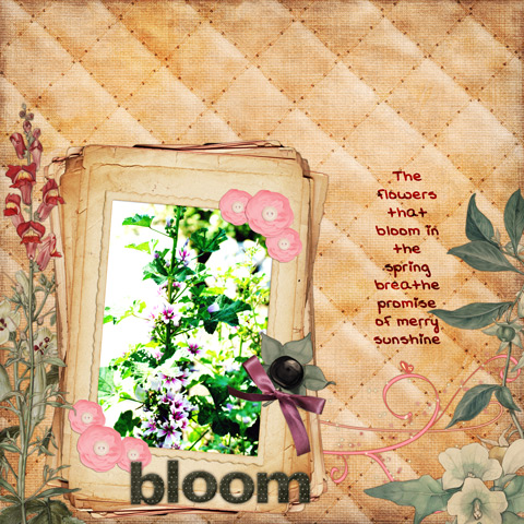 Bloom