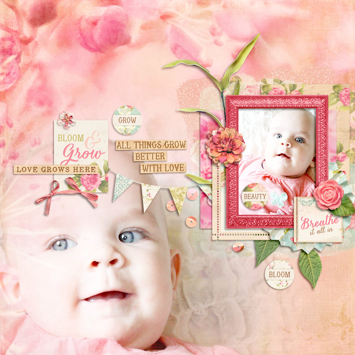 bloom