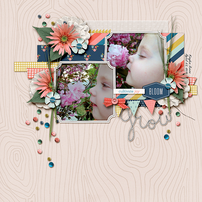 Bloom