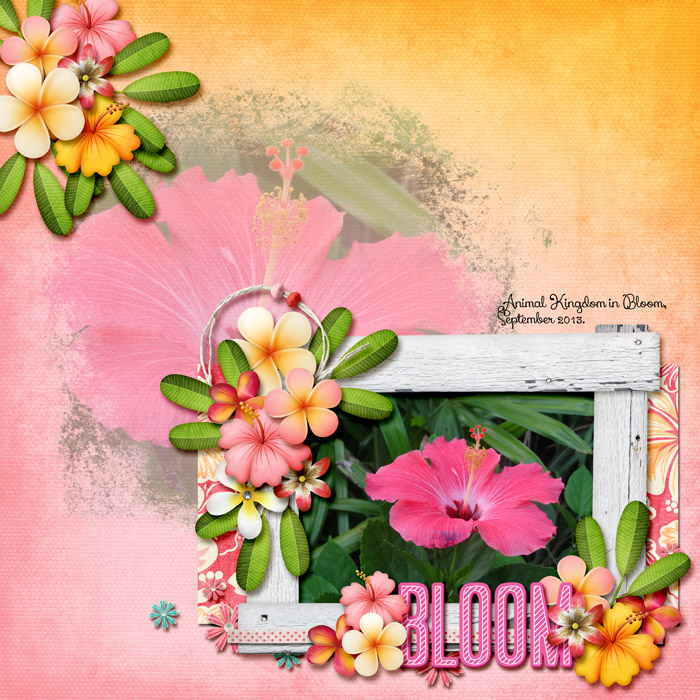 Bloom.