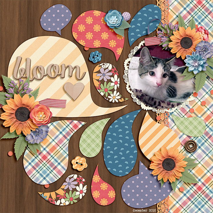 bloom
