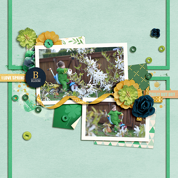 Bloom