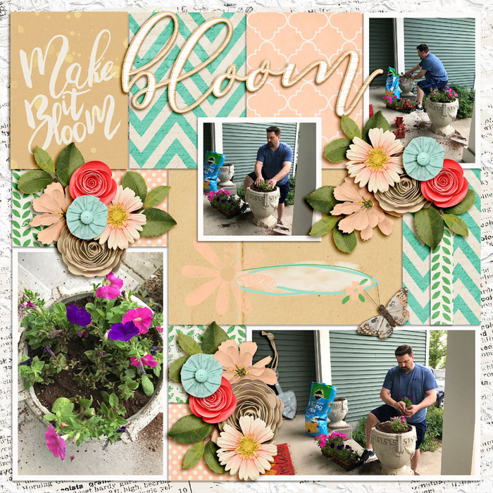Bloom