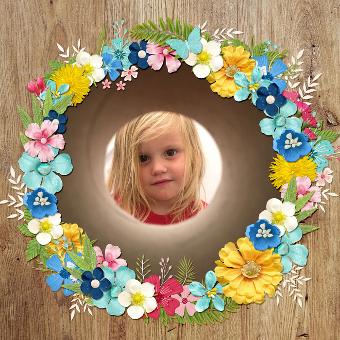 Bloom