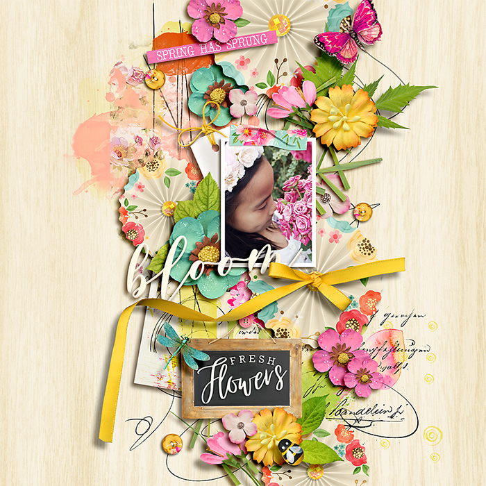 Bloom
