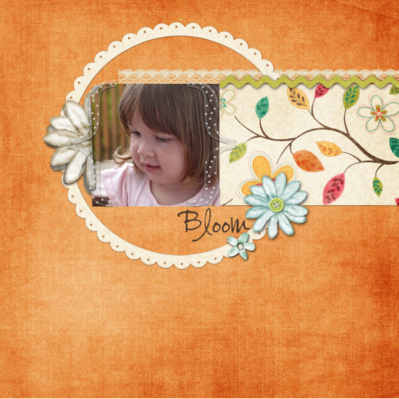 Bloom