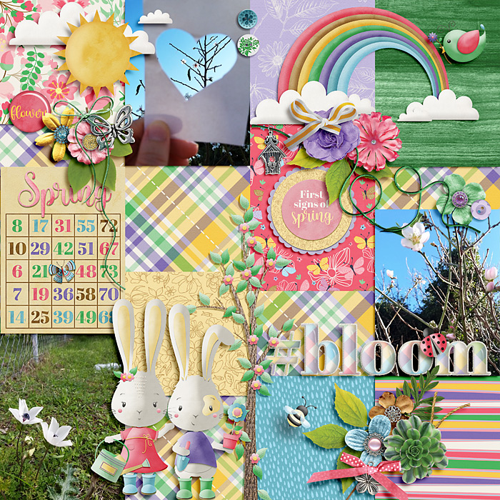 Bloom