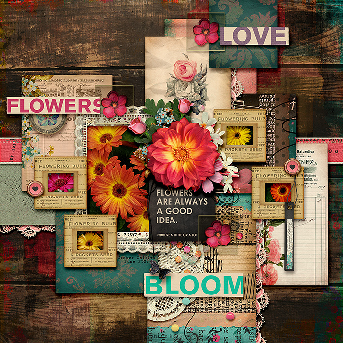 Bloom