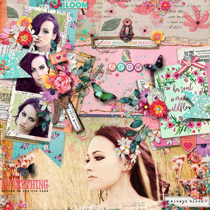 Bloom