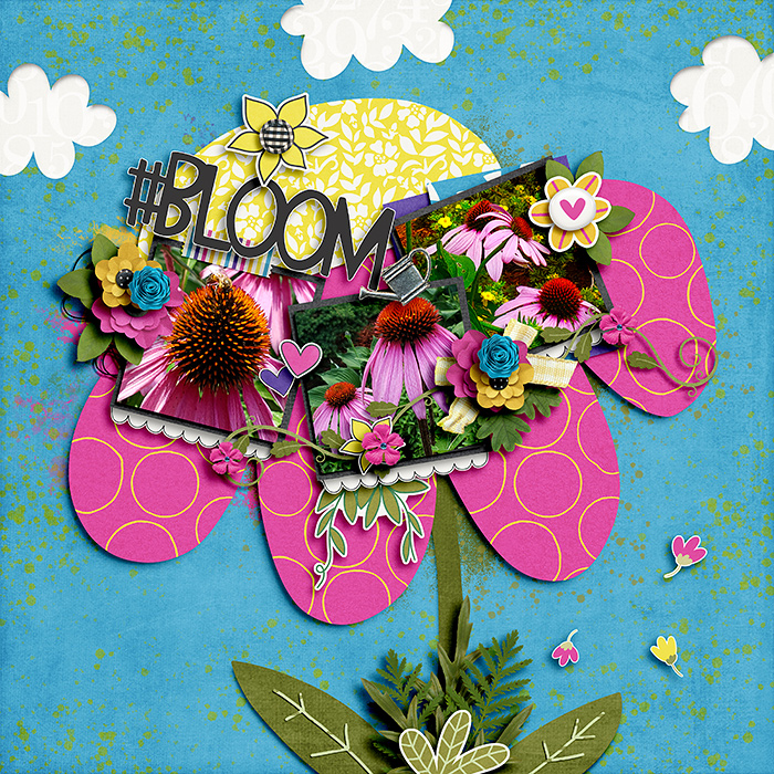 Bloom