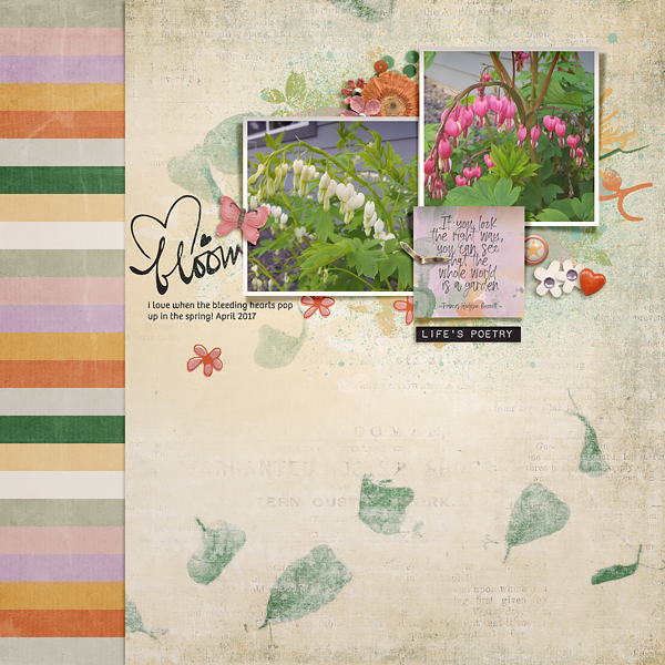 Bloom