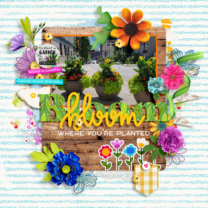 Bloom