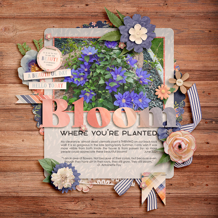 Bloom