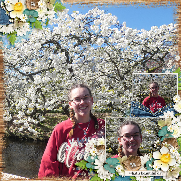 Bloom